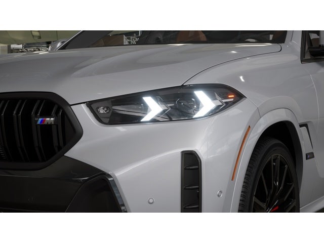 2027 BMW X6 M60i