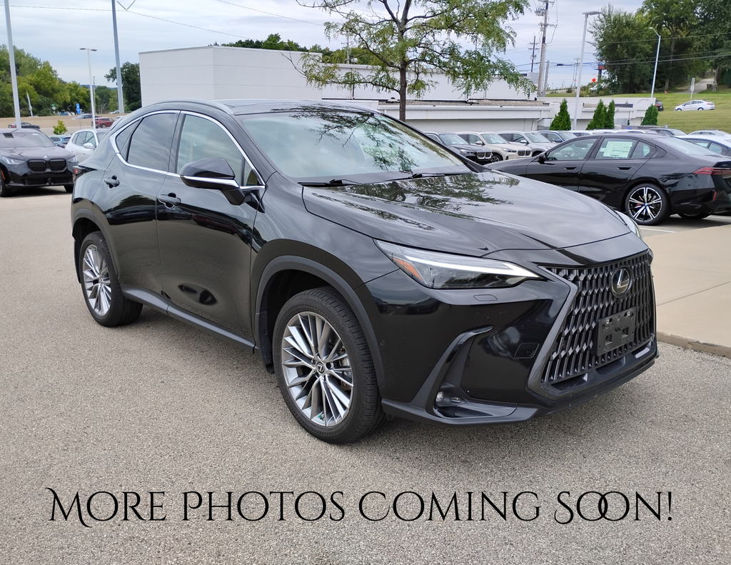 2023 Lexus NX 350h Luxury