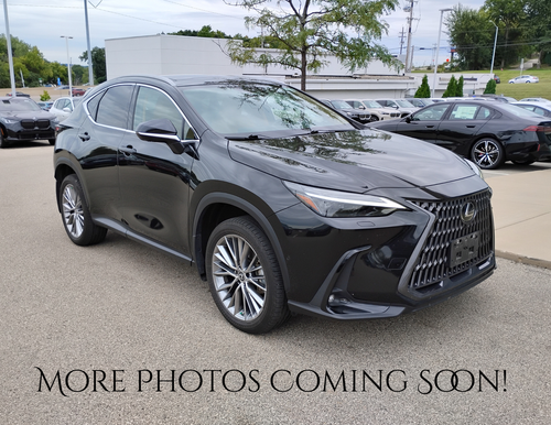 2023 Lexus NX 350h Luxury
