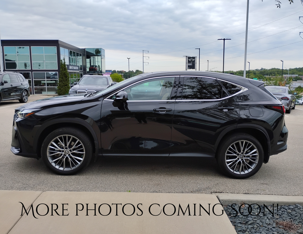 2023 Lexus NX 350h Luxury