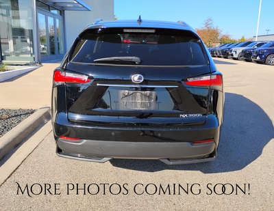 2015 Lexus NX 300h
