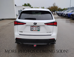 2020 Lexus NX 300 F Sport