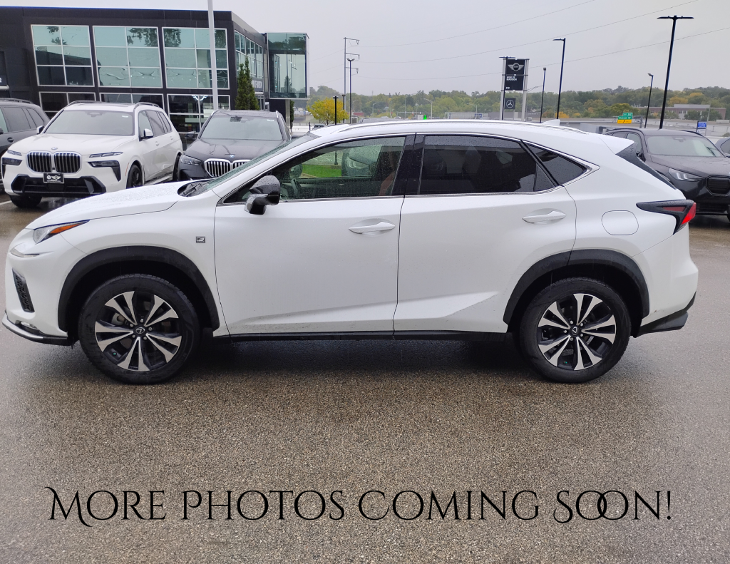 2020 Lexus NX 300 F Sport