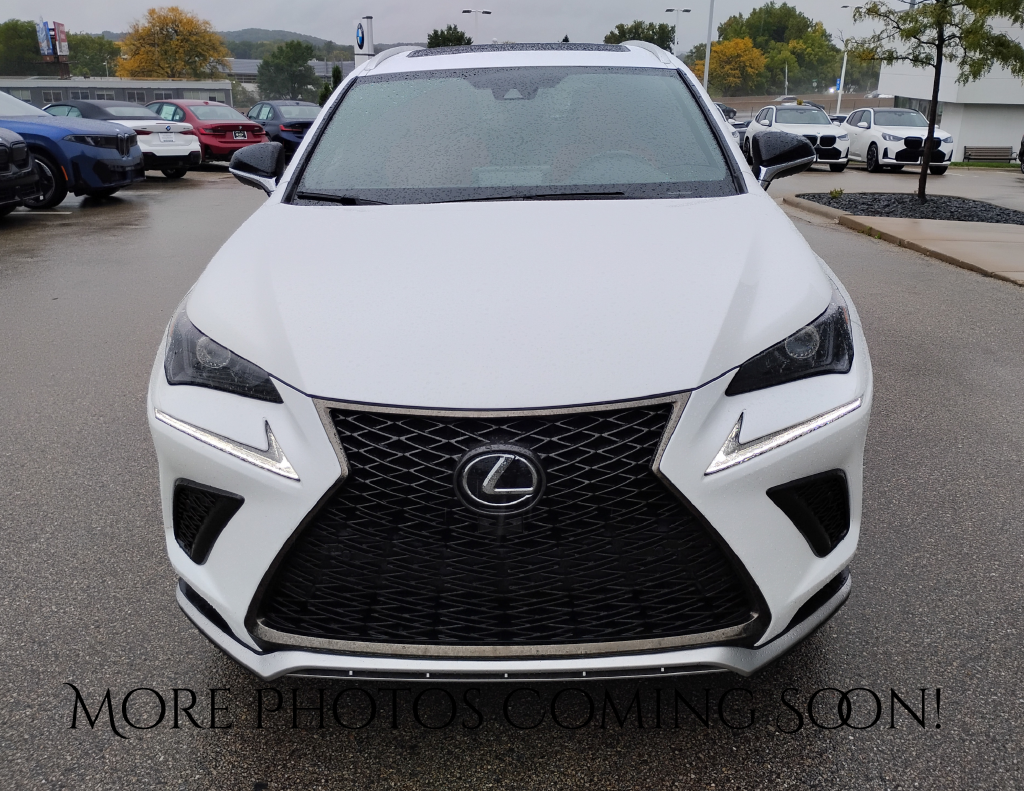 2020 Lexus NX 300 F Sport