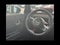 2026 MINI 2 DOOR ICONIC