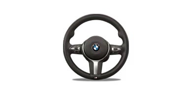 BMW Steering wheel | BMW of Madison in Madison WI