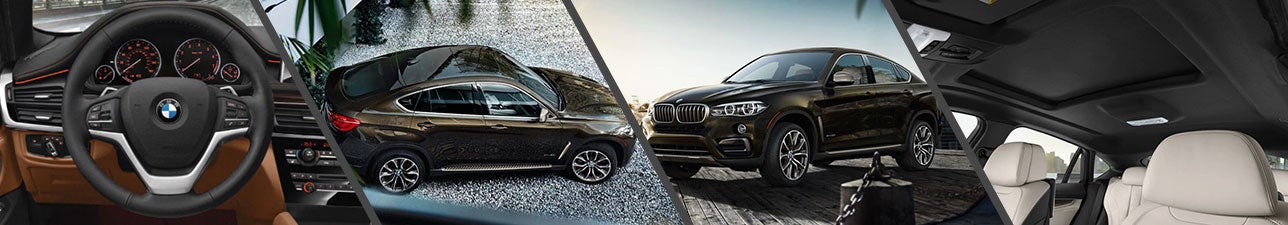 New 2019 BMW X6 for Sale Madison WI