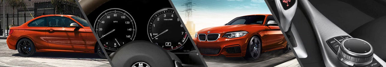 New 2019 BMW 2 Series for Sale Madison WI
