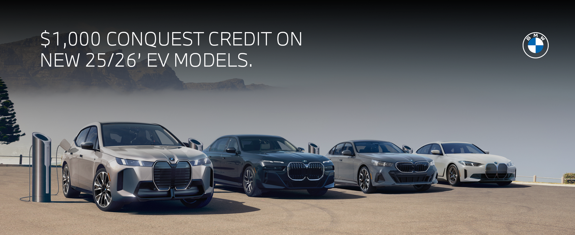 BMW Electric Vehicles parked along mountain side.